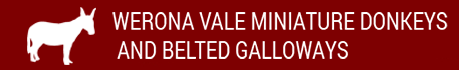 LOGO2