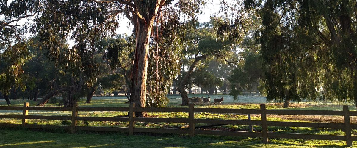 Werona Vale Banner